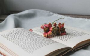 Wildflowers on an open book